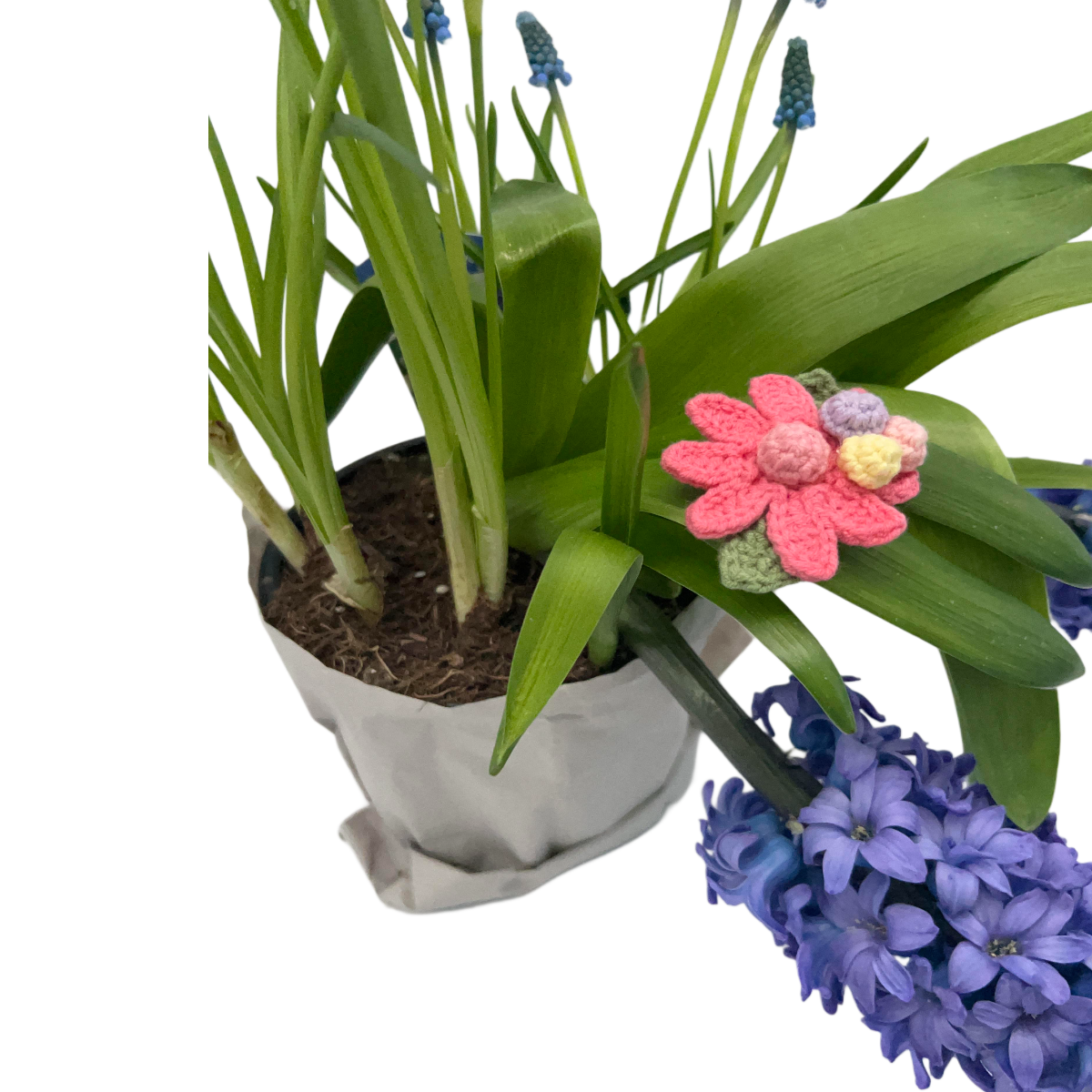 Bloomy Star Clip